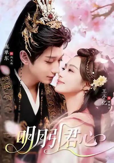 明月引君心(全集)