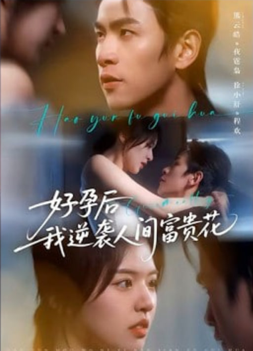 夜先生的小欢喜（好孕后我逆袭人间富贵花）(全集)