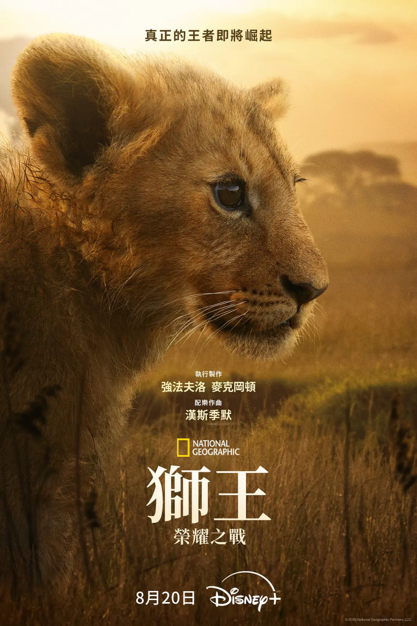 狮王：荣耀之战(全集)