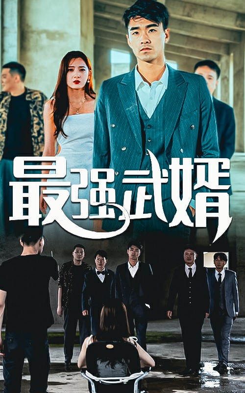 最强武婿(全集)