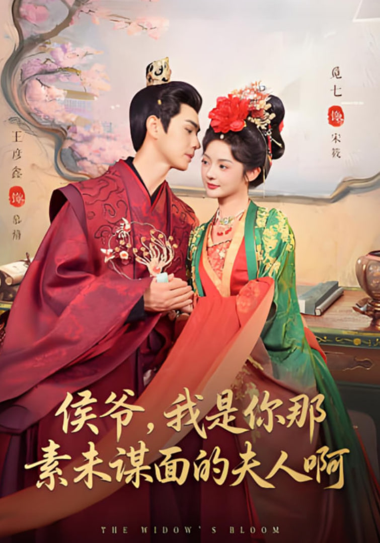 侯爷，我是你那素未谋面的夫人啊(全集)